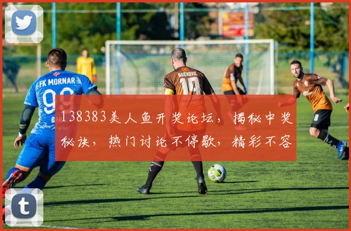 138383美人鱼开奖论坛，揭秘中奖秘诀，热门讨论不停歇，精彩不容错过