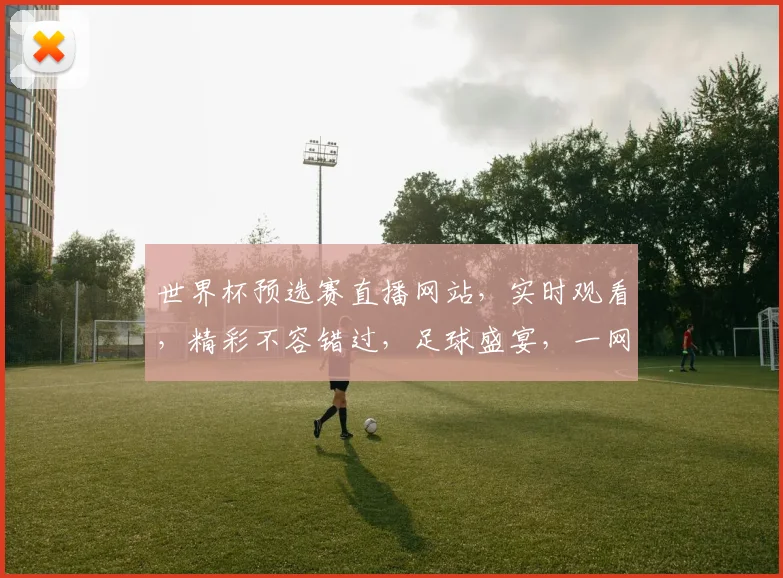 世界杯预选赛直播网站，实时观看，精彩不容错过，足球盛宴，一网打尽